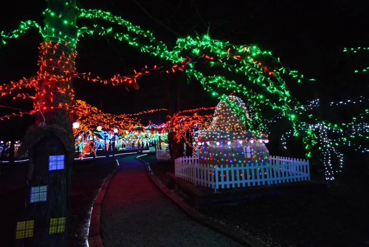 OBITELJ SALAJ OVE GODINE NADMA&Scaron;ILA SAMU SEBE: Božićna priča zabljesnula s rekordnih 4 milijuna lampica