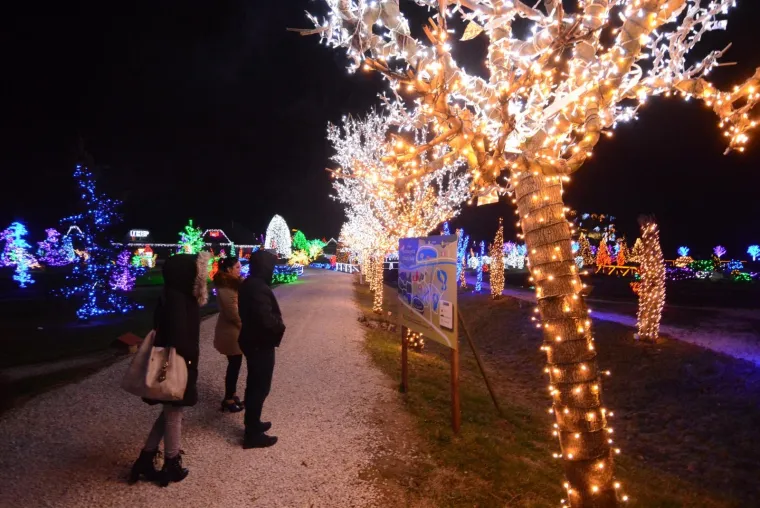 OBITELJ SALAJ OVE GODINE NADMA&Scaron;ILA SAMU SEBE: Božićna priča zabljesnula s rekordnih 4 milijuna lampica
