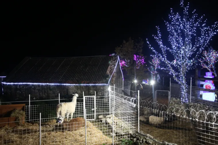 Na djedovini napravio Božićno selo: Bajka od milijuna lampica duž 24 kilometra