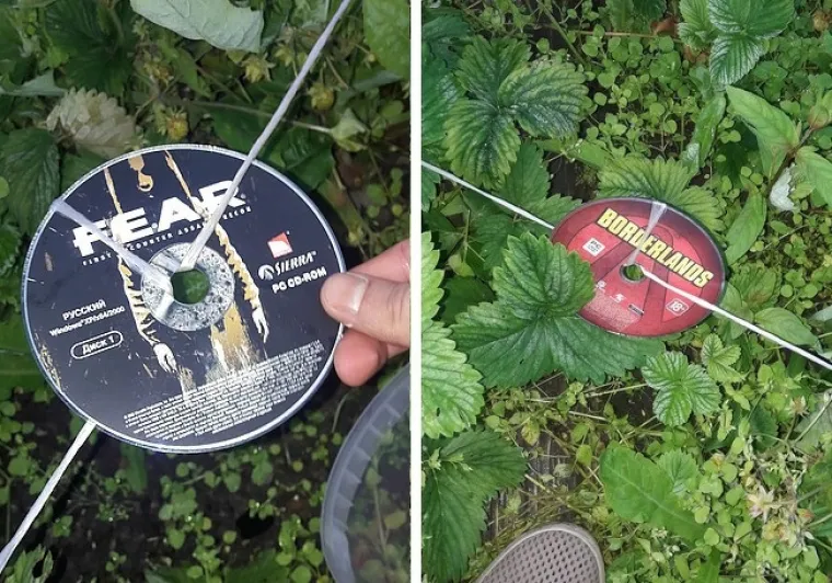 Djetinjstvo ne bi bilo isto bez baka: nasmijte se ovim 'biserima' koji dokazuju da su bake zakon