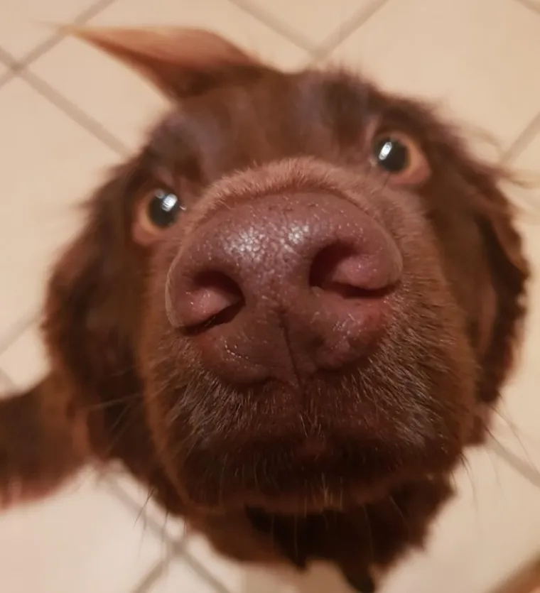 OSJEĆATE LI DA ĆETE PUKNUTI? Umjesto da se istresete na &scaron;efa ili kolegu, ispunite se pozitivom listajući ove divne fotke