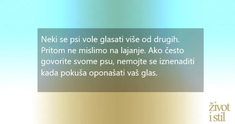 Opona&scaron;aju ljude: 7 čudnih navika koje će psi  pokupiti od svojih vlasnika