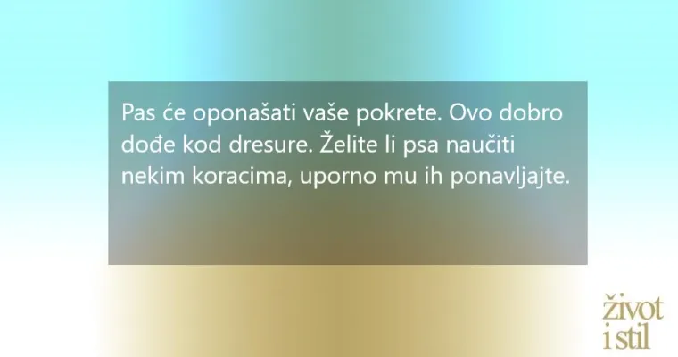 Opona&scaron;aju ljude: 7 čudnih navika koje će psi  pokupiti od svojih vlasnika