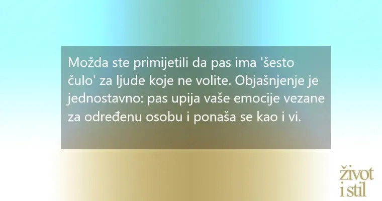 Opona&scaron;aju ljude: 7 čudnih navika koje će psi  pokupiti od svojih vlasnika