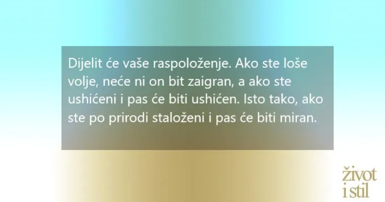 Opona&scaron;aju ljude: 7 čudnih navika koje će psi  pokupiti od svojih vlasnika