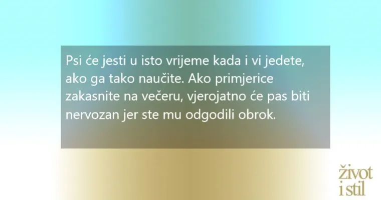 Opona&scaron;aju ljude: 7 čudnih navika koje će psi  pokupiti od svojih vlasnika