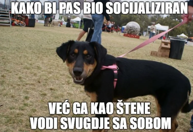 'Uvijek drugima reci da imaju ne&scaron;to za zubima': 19 mudrih lekcija koje će vam stvarno, ali stvarno pomoći u životu