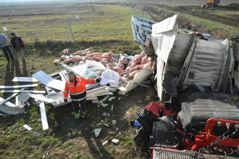 Prevrnuo se kamion pun svinjskih polovica, vozač u životnoj opasnosti