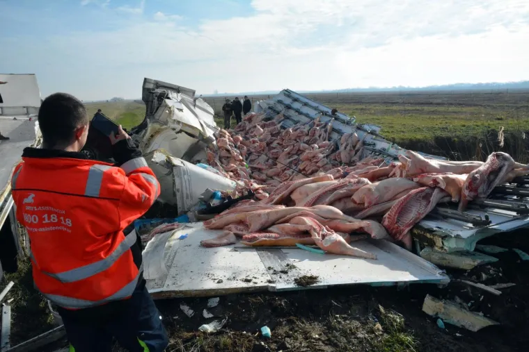Prevrnuo se kamion pun svinjskih polovica, vozač u životnoj opasnosti