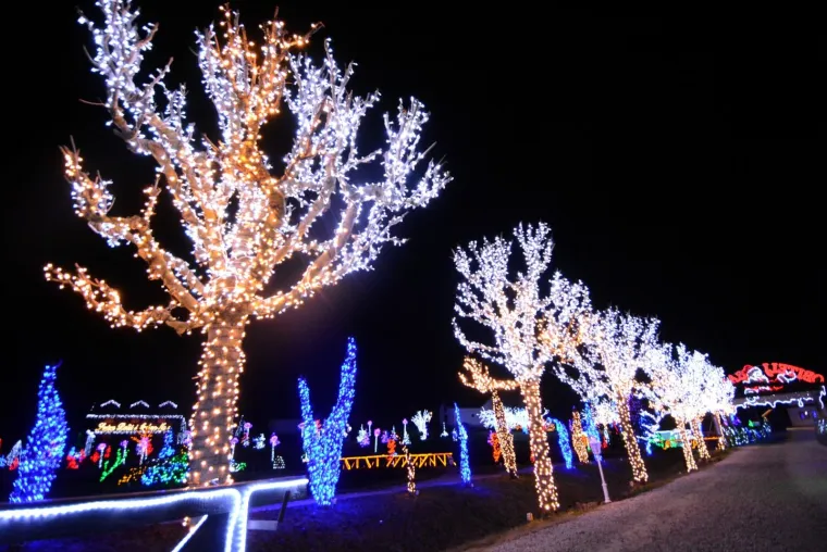 BOŽIĆNA PRIČA OBITELJI SALAJ BOLJA JE NEGO IKAD: Osim rekordnog broja lampica čeka vas ne&scaron;to potpuno novo