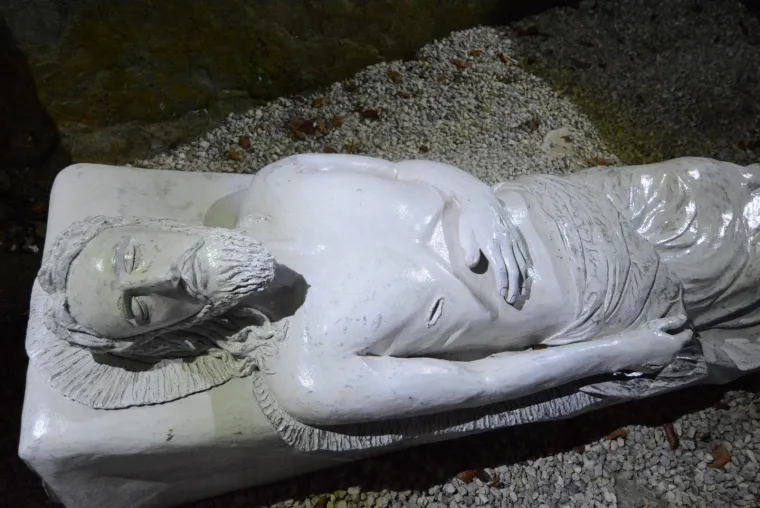 BOŽIĆNA PRIČA OBITELJI SALAJ BOLJA JE NEGO IKAD: Osim rekordnog broja lampica čeka vas ne&scaron;to potpuno novo