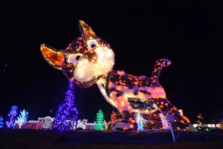 BOŽIĆNA PRIČA OBITELJI SALAJ BOLJA JE NEGO IKAD: Osim rekordnog broja lampica čeka vas ne&scaron;to potpuno novo