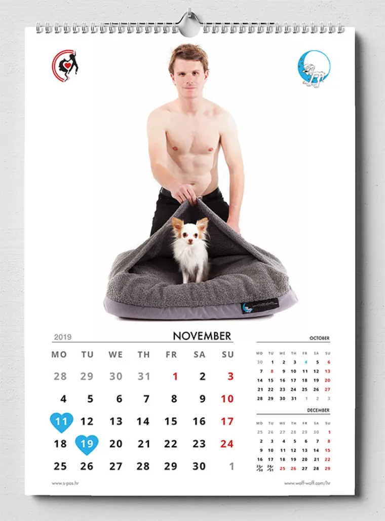 Goli&scaron;avi dečki iz susjedstva u kampanji za napu&scaron;tene pse: 'I žene vole pogledati lijepo mu&scaron;ko tijelo'