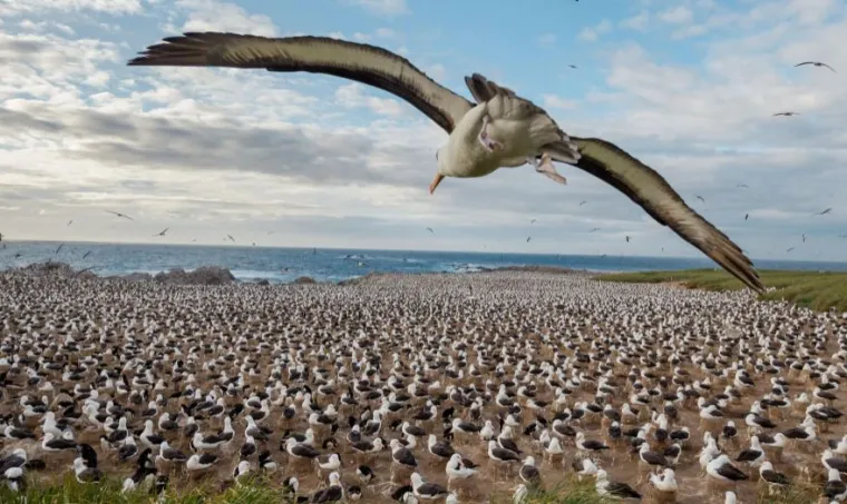 National Geographic izabrao 100 najboljih slika ove godine, evo kojih je 20 nas odu&scaron;evilo