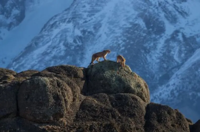National Geographic izabrao 100 najboljih slika ove godine, evo kojih je 20 nas odu&scaron;evilo