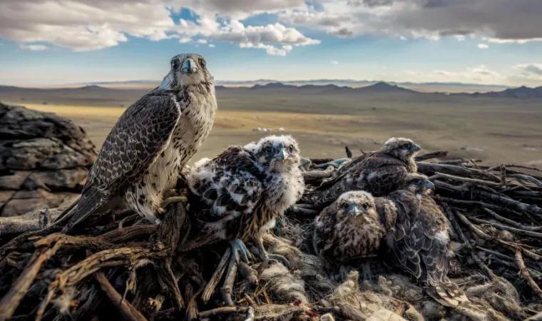 National Geographic izabrao 100 najboljih slika ove godine, evo kojih je 20 nas odu&scaron;evilo