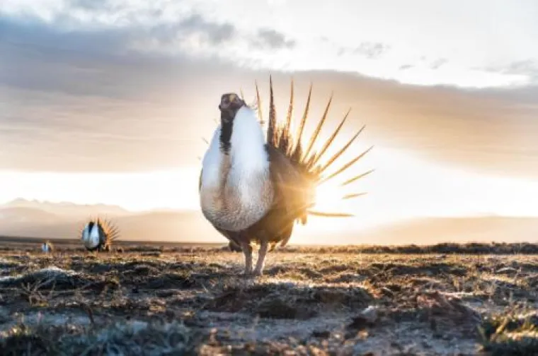 National Geographic izabrao 100 najboljih slika ove godine, evo kojih je 20 nas odu&scaron;evilo