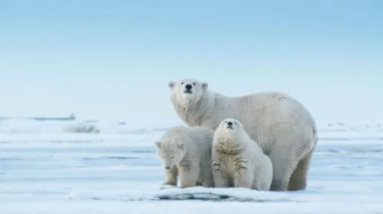 National Geographic izabrao 100 najboljih slika ove godine, evo kojih je 20 nas odu&scaron;evilo
