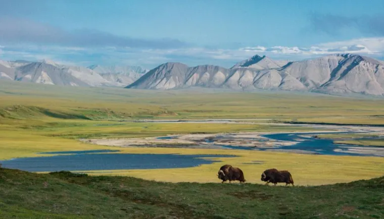 National Geographic izabrao 100 najboljih slika ove godine, evo kojih je 20 nas odu&scaron;evilo