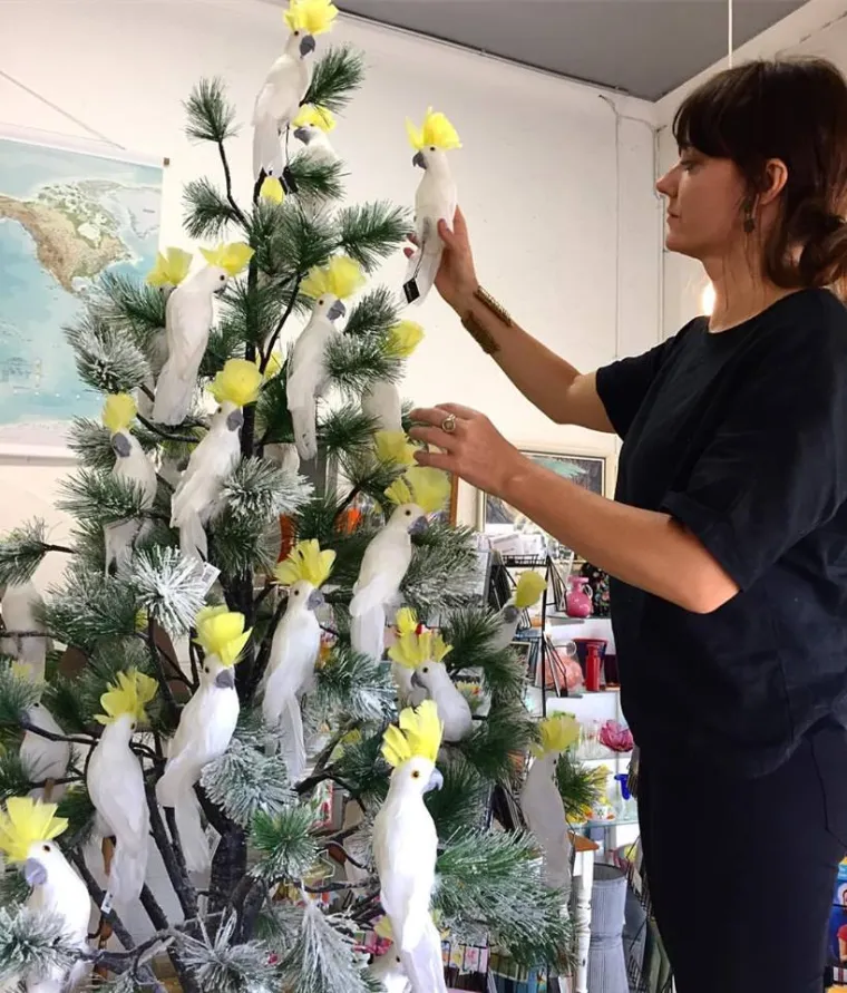 NEKI DRUGAČIJE SHVAĆAJU KIĆENJE BORA: Njima nije poanta u estetici, oni se s tom praksom savr&scaron;eno sprdaju