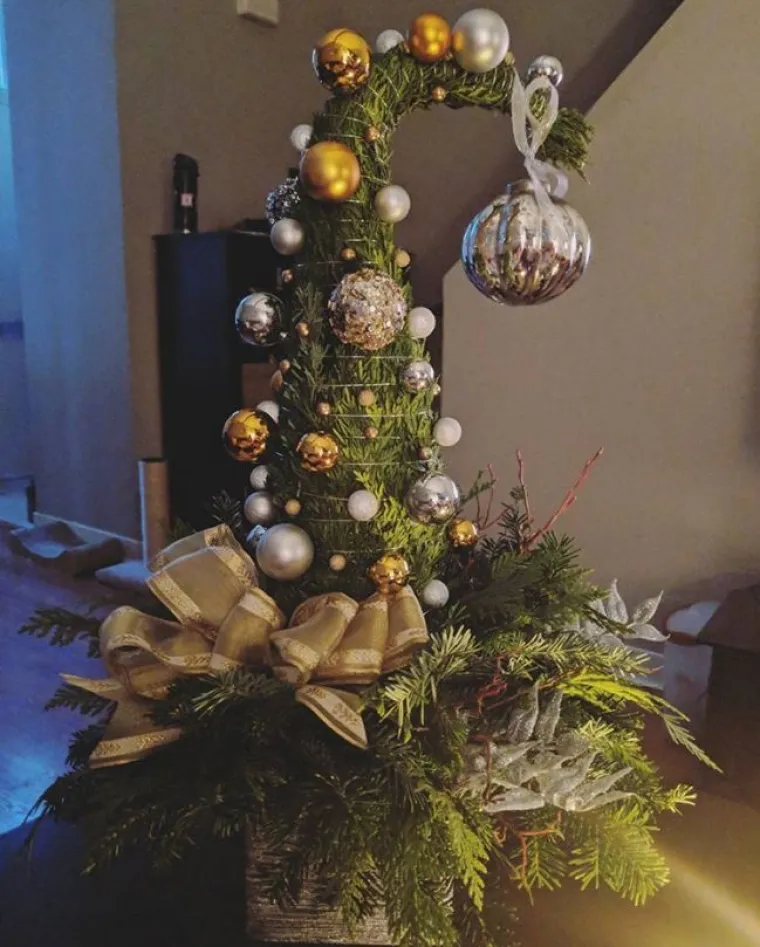 NEKI DRUGAČIJE SHVAĆAJU KIĆENJE BORA: Njima nije poanta u estetici, oni se s tom praksom savr&scaron;eno sprdaju