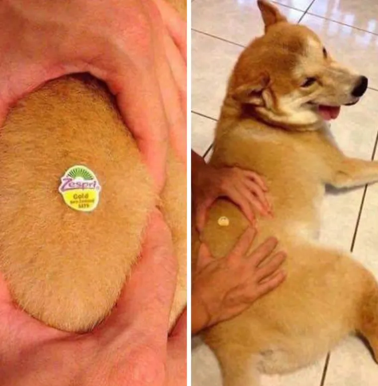 Savr&scaron;ene fotke znaju biti samo iluzija - evo &scaron;to se događa iza njih