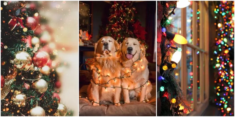 Niste se jo&scaron; ufurali u blagdanski duh? Imamo rje&scaron;enje za vas