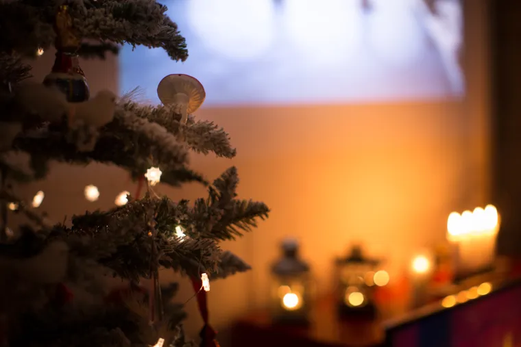 Stari filmovi, nova tehnologija: Pogledajte kako izgledaju filmske večeri u domu popularne blogerice Ljupke Tanevske