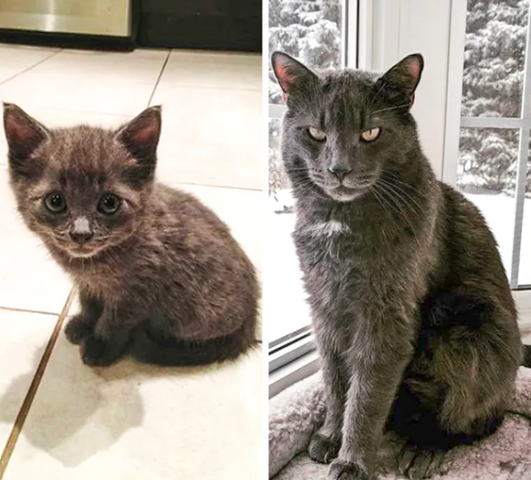 Nekada i sada: fotografije koje će vas potaknuti da se zamislite nad činjenicom koliko vrijeme leti