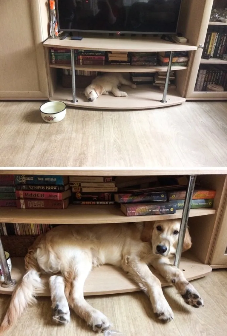 ODLUČILI SU REKREIRATI STARE OBITELJSKE FOTOGRAFIJE I ODU&Scaron;EVILI INTERNET: Možda i vi dobijete ideju za najbolji božićni poklon