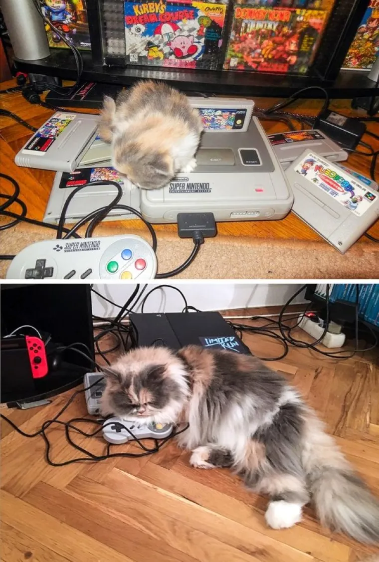 ODLUČILI SU REKREIRATI STARE OBITELJSKE FOTOGRAFIJE I ODU&Scaron;EVILI INTERNET: Možda i vi dobijete ideju za najbolji božićni poklon