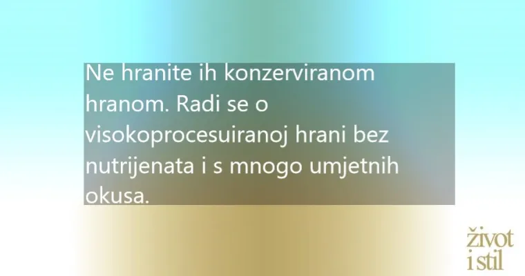 Donosimo namirnice koje nutricionisti ne daju svojoj djeci: ova hrana može uzokovati velike probleme