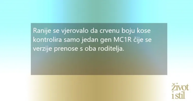 Nije samo jedan gen zaslužan: znanstvenici otkrili tajnu riđokosih ljudi