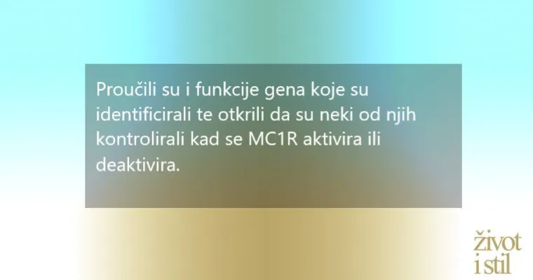Nije samo jedan gen zaslužan: znanstvenici otkrili tajnu riđokosih ljudi