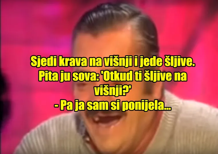 JO&Scaron; 16 najgorih viceva kojima ćete se nasmijati samo ako imate čudni smisao za humor