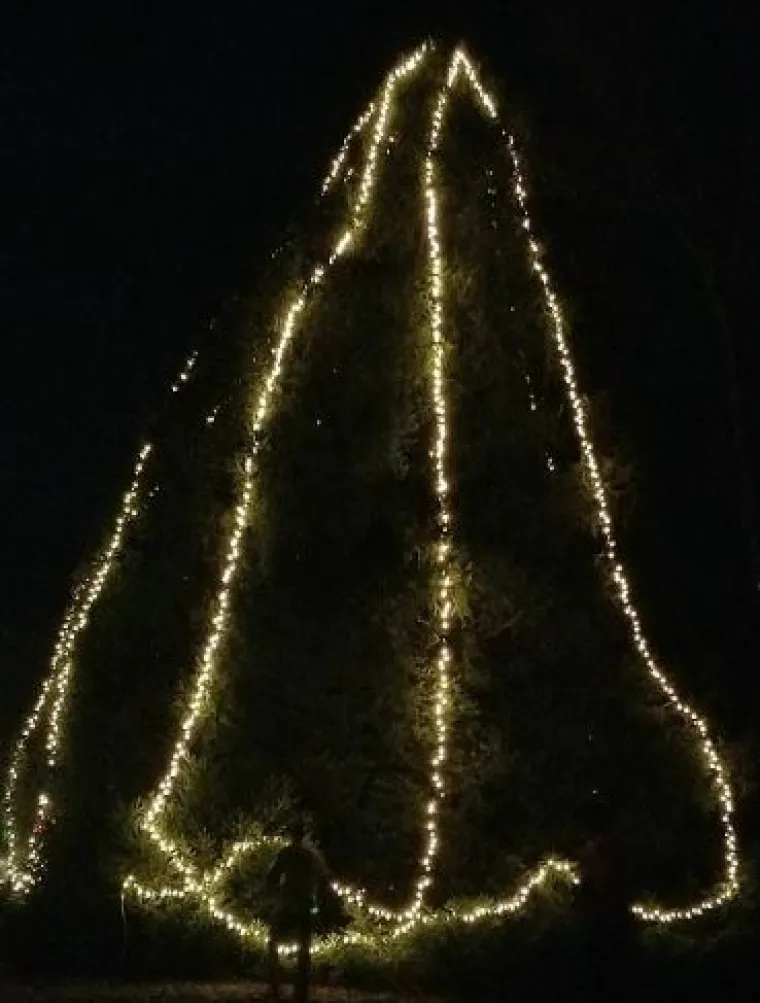 Nismo Grinčevi, ali &scaron;to je ovo? Internet je odabrao TOP 15 najružnijih božićnih jelki