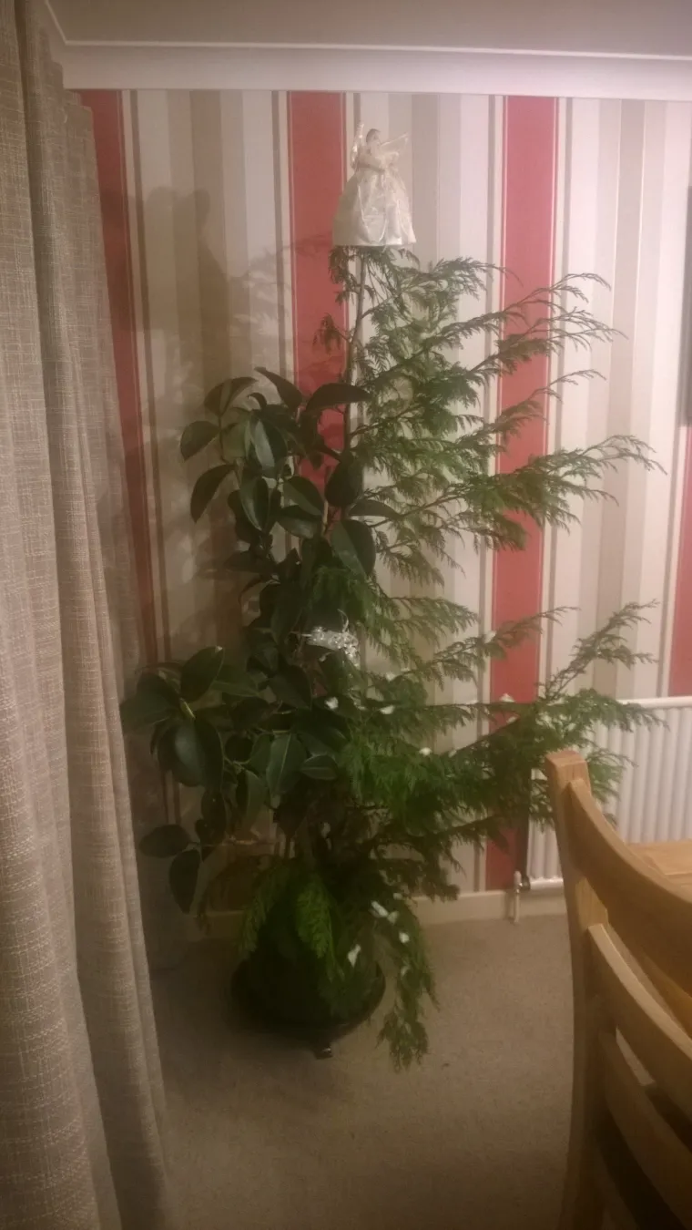 Nismo Grinčevi, ali &scaron;to je ovo? Internet je odabrao TOP 15 najružnijih božićnih jelki