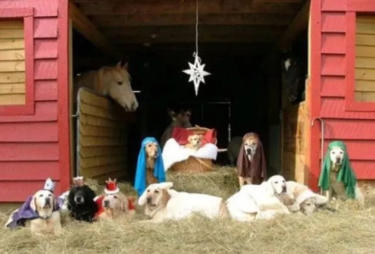 Yoda umjesto Isuseka, Batman umjesto Josipa: 22 urnebesnih jaslica koje su sve samo ne tradicionalne!