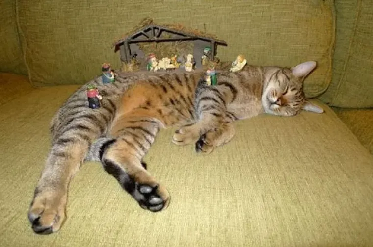 Yoda umjesto Isuseka, Batman umjesto Josipa: 22 urnebesnih jaslica koje su sve samo ne tradicionalne!