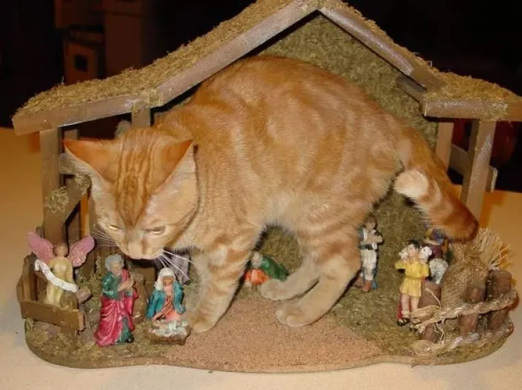 Yoda umjesto Isuseka, Batman umjesto Josipa: 22 urnebesnih jaslica koje su sve samo ne tradicionalne!