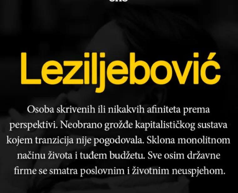 'Je*ivjetar - najveća bojazan svake majke za svoju kćer' i jo&scaron; 35 genijalnih definicija svakodnevnih izraza