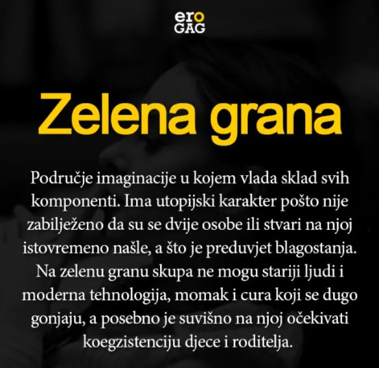 'Je*ivjetar - najveća bojazan svake majke za svoju kćer' i jo&scaron; 35 genijalnih definicija svakodnevnih izraza