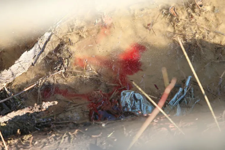 Popri&scaron;te ubojstva u Kupincu