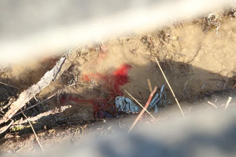 Popri&scaron;te ubojstva u Kupincu