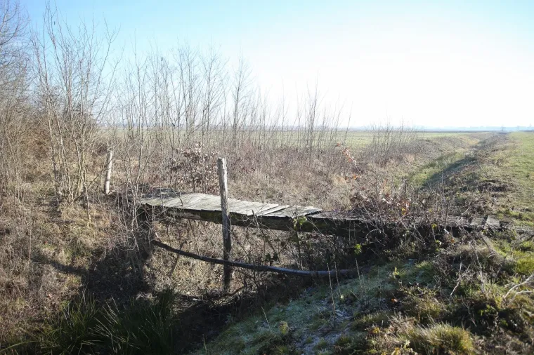 Popri&scaron;te ubojstva u Kupincu