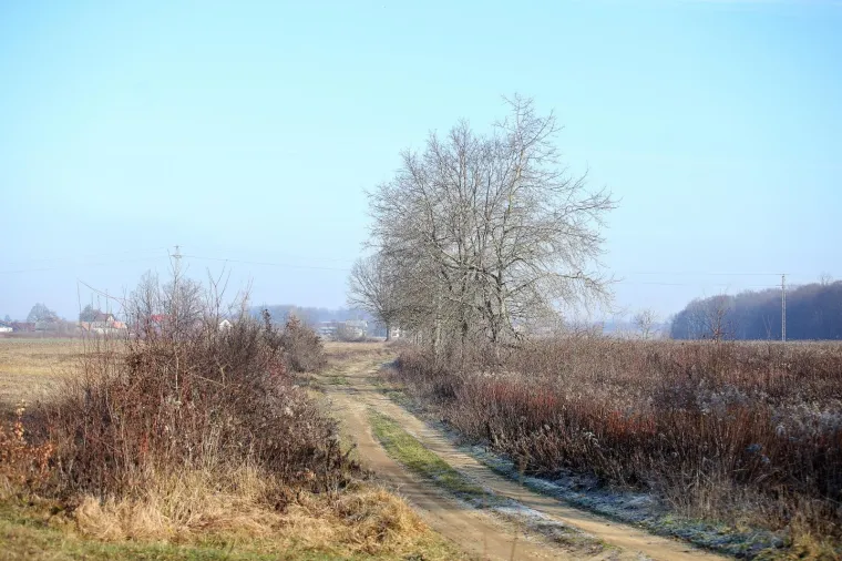Popri&scaron;te ubojstva u Kupincu