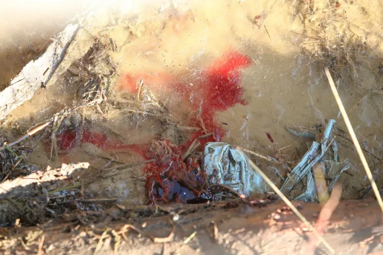 Popri&scaron;te ubojstva u Kupincu