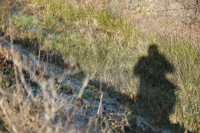 Popri&scaron;te ubojstva u Kupincu