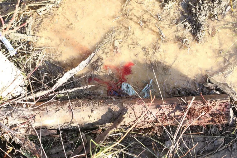 Popri&scaron;te ubojstva u Kupincu