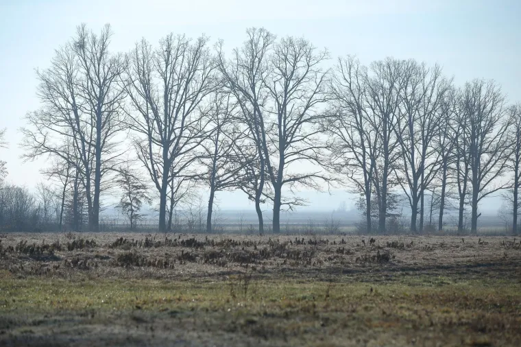Beživotno tijelo maloljetnika pronađeno je u &scaron;umskom predjelu u srijedu oko 15.30 sati